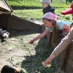phoca_thumb_m_horeky  20 Fotogalerie
